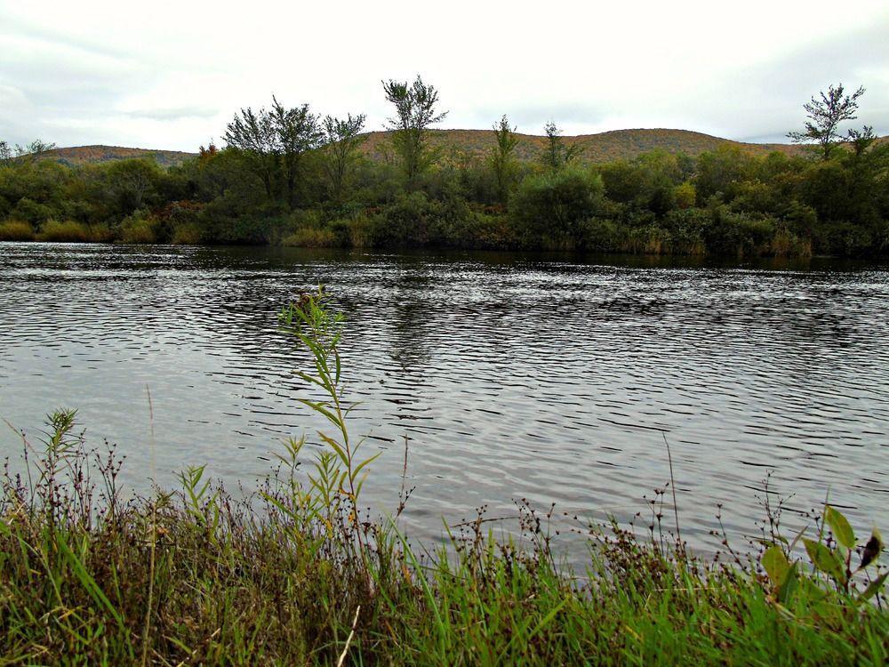 Cajun Cedar Log Cottages Margaree Forks Exterior foto
