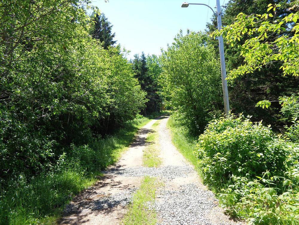 Cajun Cedar Log Cottages Margaree Forks Exterior foto